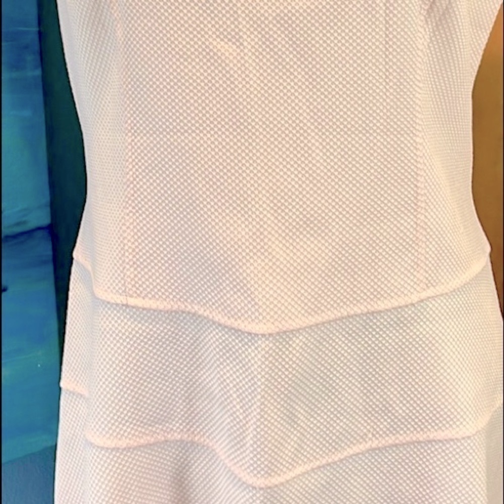 Lark & Ro Peach Pink Textured V Neck Fit Flare Church Brunch Dress Lined Size 12 - Picture 8 of 10